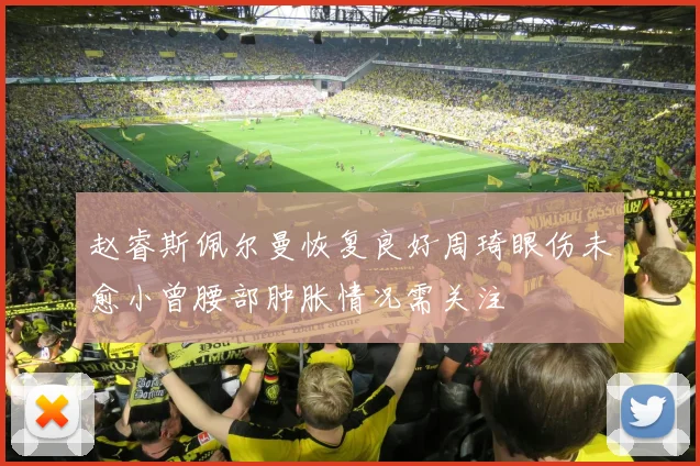 赵睿斯佩尔曼恢复良好周琦眼伤未愈小曾腰部肿胀情况需关注