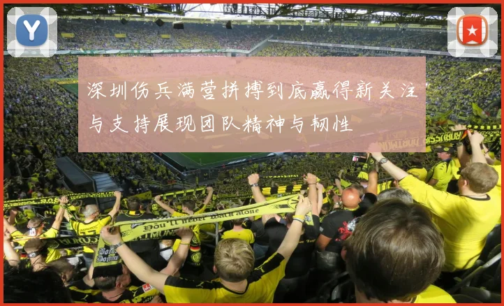 深圳伤兵满营拼搏到底赢得新关注与支持展现团队精神与韧性
