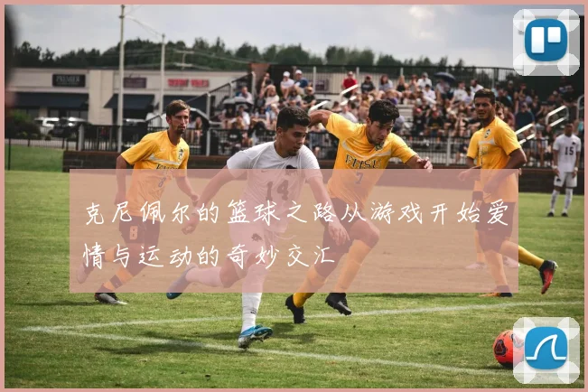 克尼佩尔的篮球之路从游戏开始爱情与运动的奇妙交汇