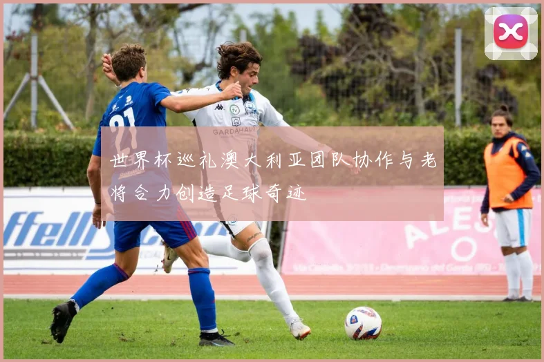 世界杯巡礼澳大利亚团队协作与老将合力创造足球奇迹