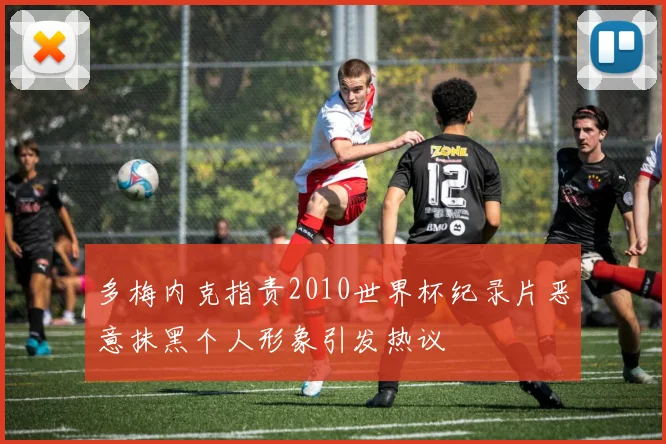 多梅内克指责2010世界杯纪录片恶意抹黑个人形象引发热议